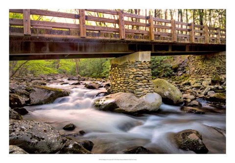 Framed Bridge and Cascade III Print