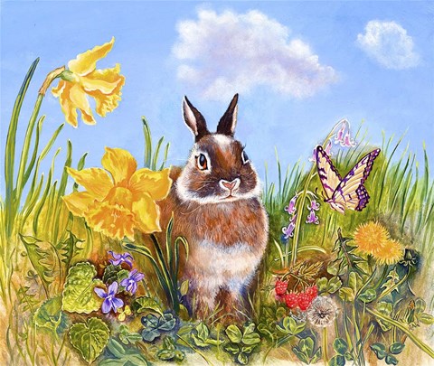 Framed Bunny In Meadow Print