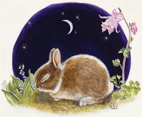 Framed Sleeping Bunny Print
