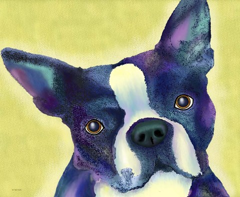 Framed Boston Terrier 1 Print