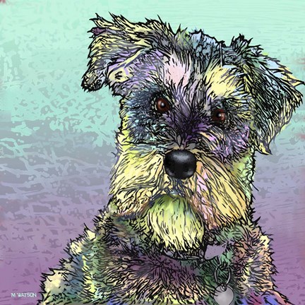 Framed Schnauzer 1 Print