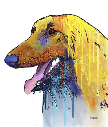 Framed Afghan Hound 2 Print