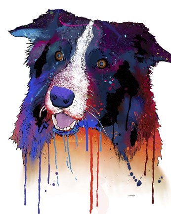 Framed Border Collie 1 Print