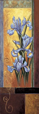Framed Iris Print