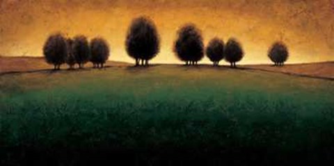 Framed Incandescence Print