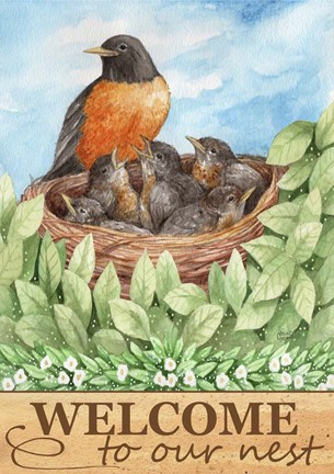 Framed Robin Welcome Print