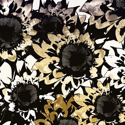 Framed Sunmesh III Print