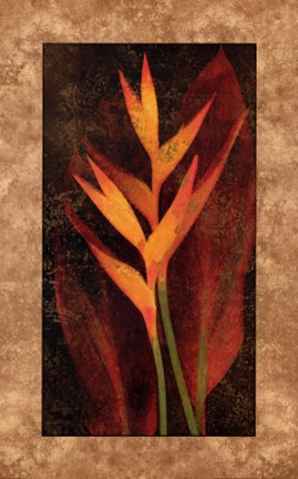 Framed Heliconia Print