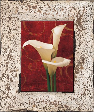 Framed Calla Lilies Print