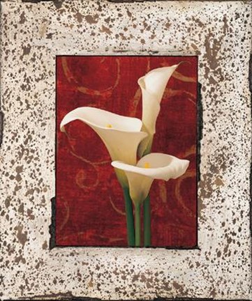 Framed Calla Lilies Print
