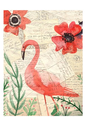 Framed Postcard Flamingo 2 Print