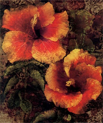 Framed Hibiscus I Print