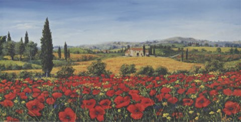 Framed Vallata Dei Papaveri Print