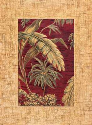 Framed Samuel Blanco - Tropical II Size 19.75x23.75 Print