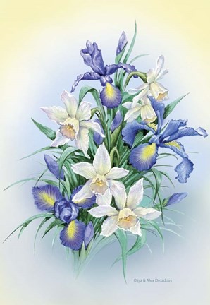 Framed Irises Print