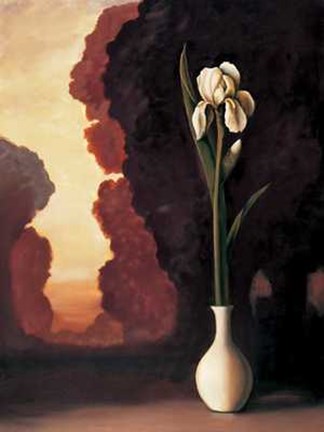 Framed Floral Sunrise II Print