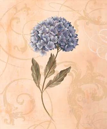 Framed Hydrangea Print