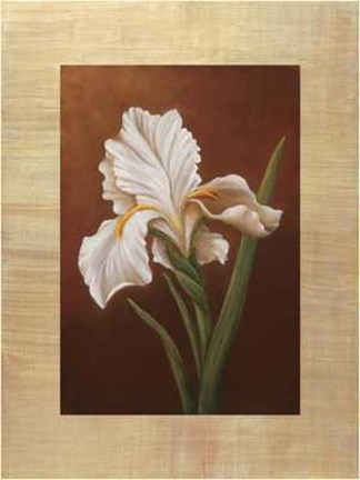 Framed Virginia Huntington - Fleur de Iris Size 23.75x31.5 Print