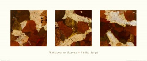 Framed Windows to Nature Print