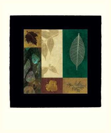 Framed Nature III Print