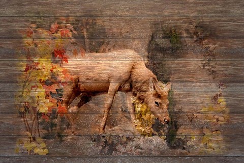 Framed Deer in Paradise Print