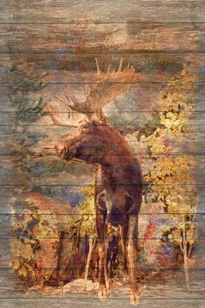 Framed Majestic Moose Print