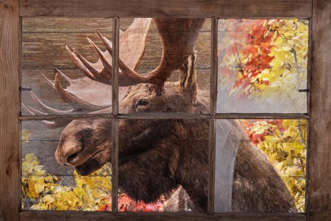 Framed There&#39;s a Moose at the Window Print