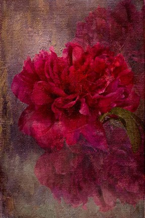 Framed Tapestry Rose Print