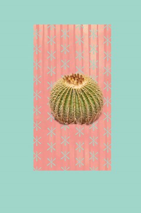 Framed Barrel Cactus Print