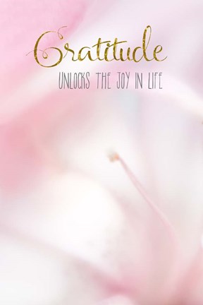 Framed Gratitude Unlocks the Joy Print