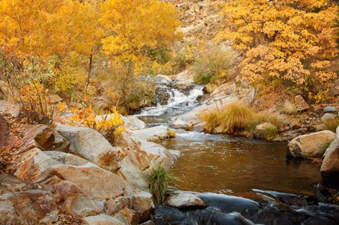 Framed Fall Creek Print