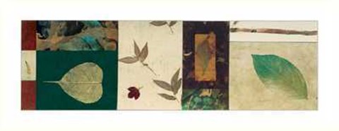 Framed Phillip Jaeger - Nature I Size 35.5x13.75 Print