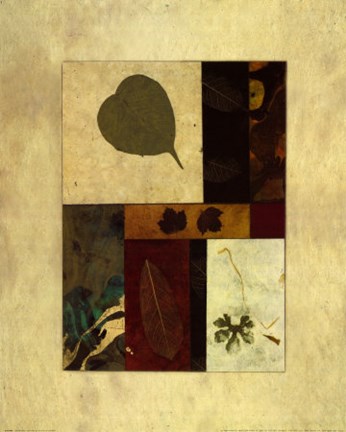 Framed Essential Nature III Print