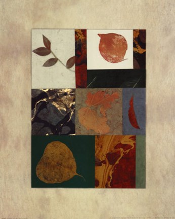 Framed Essential Nature II Print