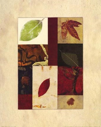 Framed Essential Nature I Print