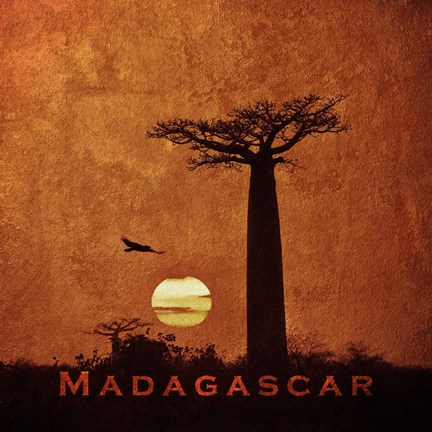 Framed Vintage Baobab Trees at Sunset in Madagascar, Africa Print