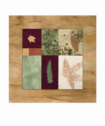 Framed Seasons II Print