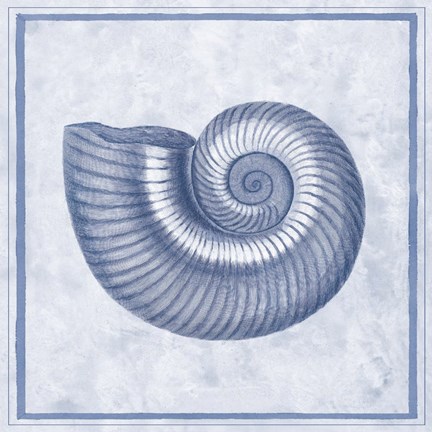 Framed Blue Nautilus D Print
