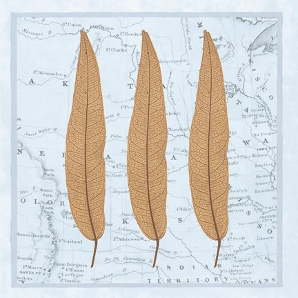 Framed Nature&#39;s Profile B Print