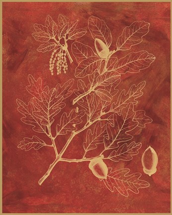 Framed Golden Oak II Print