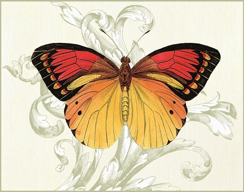 Framed Butterfly Theme III Print