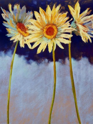 Framed Birds of Feather Print