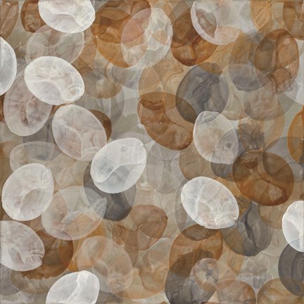 Framed Calliope Print