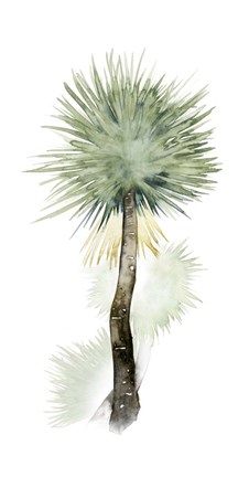 Framed Palm in Watercolor II Print