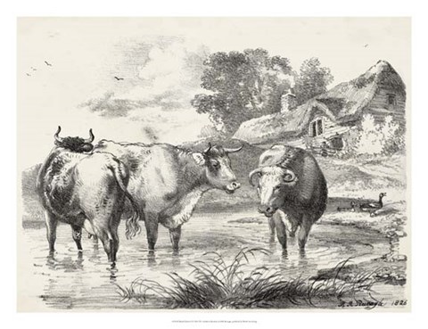 Framed Rural Charms I Print