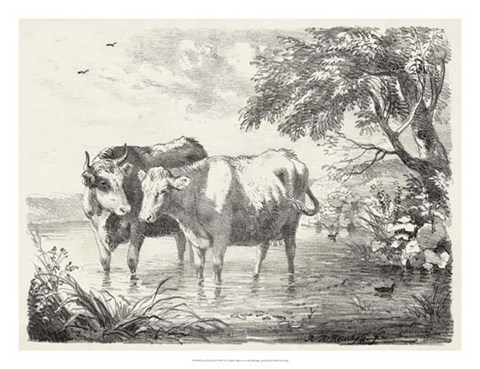 Framed Rural Charms II Print