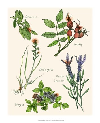 Framed Sweet Assemblage II Print