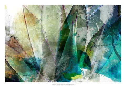 Framed Agave Abstract II Print