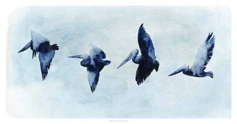 Framed Coastal Covey I Print