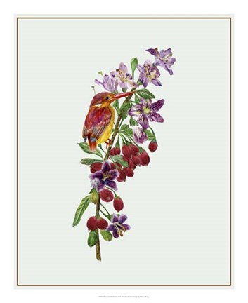 Framed Lycium Barbarum II Print